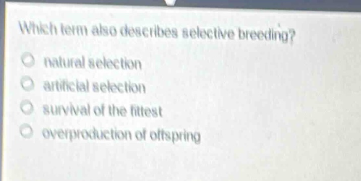 which term also describes selective breeding?\nnatural selection\nartificial selection\nsurvival of the fittest\noverproduction of offspring