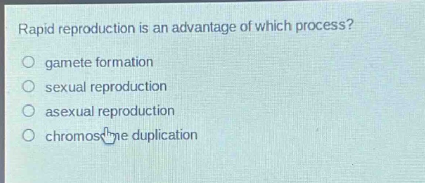 rapid reproduction is an advantage of which process?\no gamete formation\no sexual reproduction\no asexual reproduction\no chromosome duplication