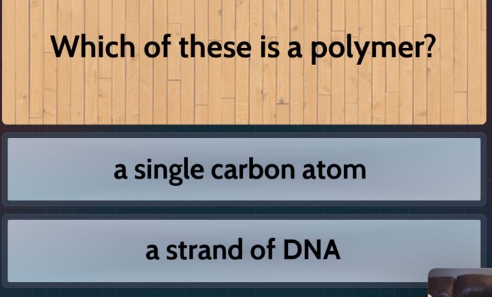 which of these is a polymer?\na single carbon atom\na strand of dna