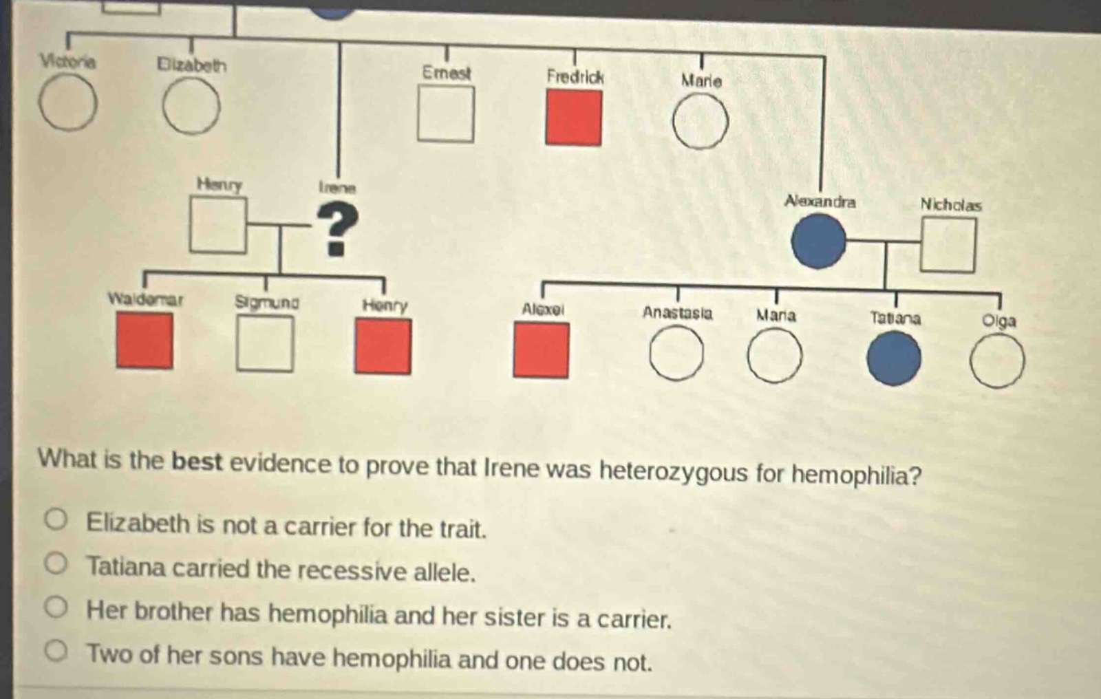 what is the best evidence to prove that irene was heterozygous for hemophilia?\no elizabeth is not a carrier for the trait.\no tatiana carried the recessive allele.\no her brother has hemophilia and her sister is a carrier.\no two of her sons have hemophilia and one does not.