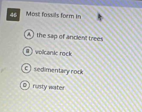 46 most fossils form in\na the sap of ancient trees\nb volcanic rock\nc sedimentary rock\nd rusty water