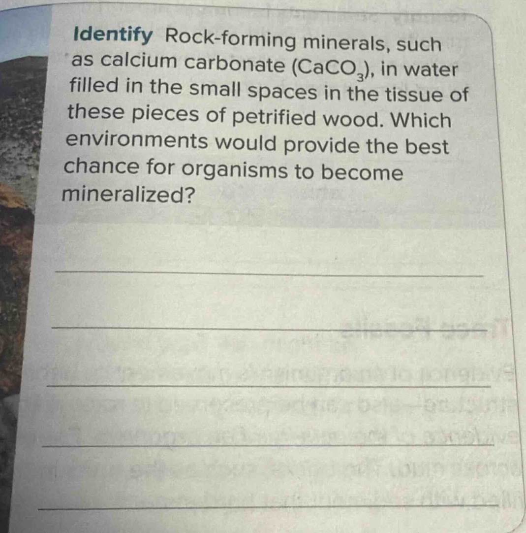 identify rock - forming minerals, such as calcium carbonate (caco₃), in water filled in the small spaces in the tissue of these pieces of petrified wood. which environments would provide the best chance for organisms to become mineralized?