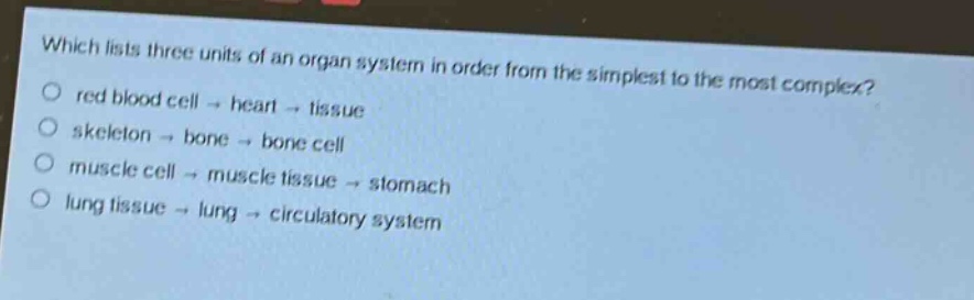 which lists three units of an organ system in order from the simplest to the most complex?\nred blood cell → heart → tissue\nskeleton → bone → bone cell\nmuscle cell → muscle tissue → stomach\nlung tissue → lung → circulatory system