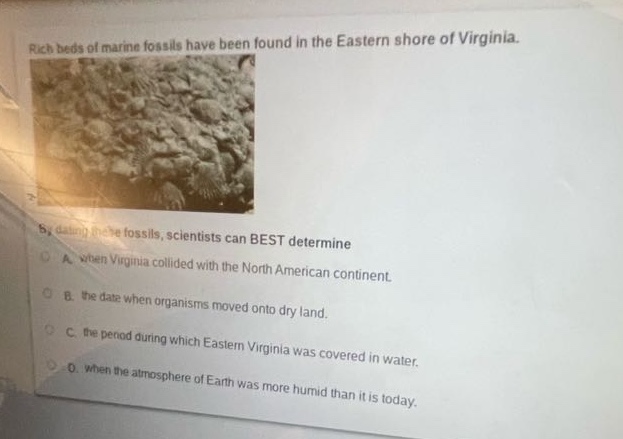 rich beds of marine fossils have been found in the eastern shore of virginia. by studying these fossils, scientists can best determine\na. when virginia collided with the north american continent.\nb. the date when organisms moved onto dry land.\nc. the period during which eastern virginia was covered in water.\nd. when the atmosphere of earth was more humid than it is today.