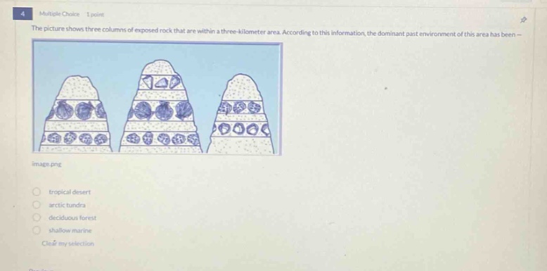multiple choice 1 point the picture shows three columns of exposed rock that are within a three - kilometer area. according to this information, the dominant past environment of this area has been - tropical desert arctic tundra deciduous forest shallow marine clear my selection