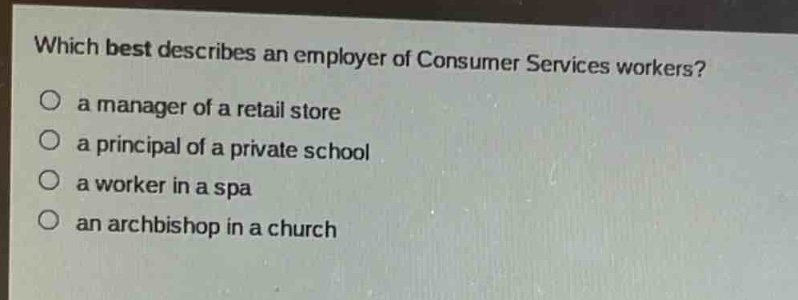 which best describes an employer of consumer services workers?\n a manager of a retail store\n a principal of a private school\n a worker in a spa\n an archbishop in a church