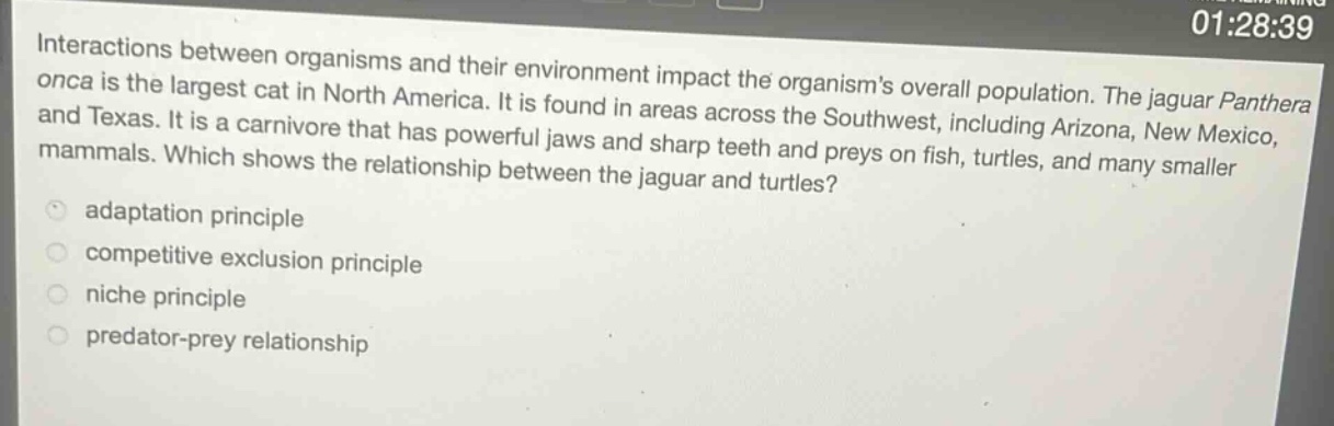 interactions between organisms and their environment impact the organisms overall population. the jaguar panthera onca is the largest cat in north america. it is found in areas across the southwest, including arizona, new mexico, and texas. it is a carnivore that has powerful jaws and sharp teeth and preys on fish, turtles, and many smaller mammals. which shows the relationship between the jaguar and turtles?\nadaptation principle\ncompetitive exclusion principle\nniche principle\npredator - prey relationship