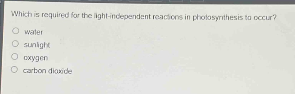 which is required for the light - independent reactions in photosynthesis to occur?\no water\no sunlight\no oxygen\no carbon dioxide