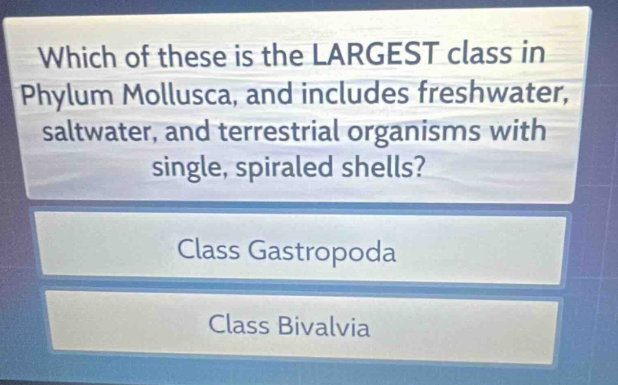 which of these is the largest class in phylum mollusca, and includes freshwater, saltwater, and terrestrial organisms with single, spiraled shells?\nclass gastropoda\nclass bivalvia