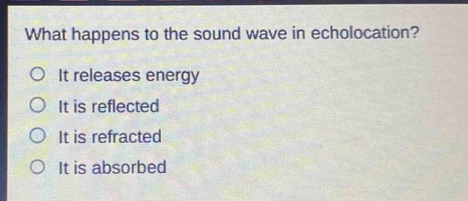 what happens to the sound wave in echolocation?\no it releases energy\no it is reflected\no it is refracted\no it is absorbed