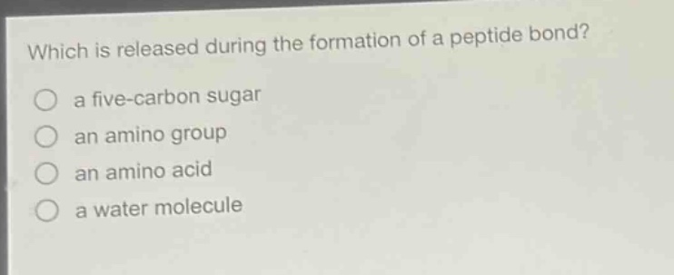 which is released during the formation of a peptide bond?\n○ a five - carbon sugar\n○ an amino group\n○ an amino acid\n○ a water molecule