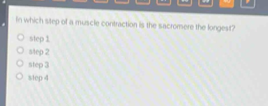 in which step of a muscle contraction is the sacromere the longest?\nstep 1\nstep 2\nstep 3\nstep 4