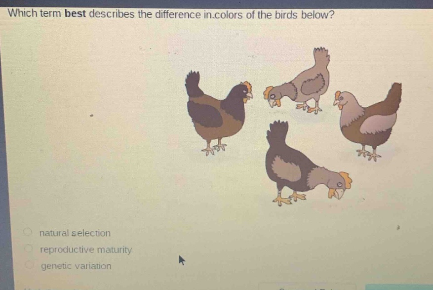 which term best describes the difference in colors of the birds below?\nnatural selection\nreproductive maturity\ngenetic variation