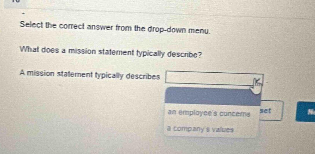 select the correct answer from the drop - down menu. what does a mission statement typically describe? a mission statement typically describes an employees concerns a companys values