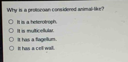 why is a protozoan considered animal - like?\no it is a heterotroph.\no it is multicellular.\no it has a flagellum.\no it has a cell wall.