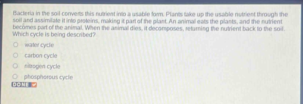 bacteria in the soil converts this nutrient into a usable form. plants take up the usable nutrient through the soil and assimilate it into proteins, making it part of the plant. an animal eats the plants, and the nutrient becomes part of the animal. when the animal dies, it decomposes, returning the nutrient back to the soil. which cycle is being described?\nwater cycle\ncarbon cycle\nnitrogen cycle\nphosphorous cycle