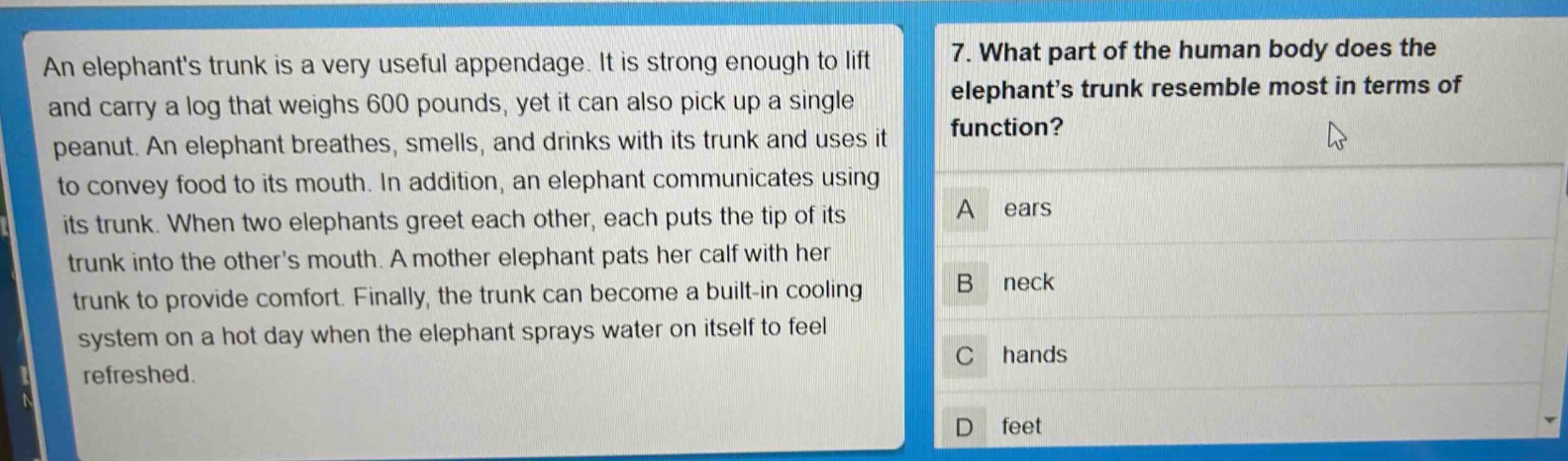 an elephants trunk is a very useful appendage. it is strong enough to lift and carry a log that weighs 600 pounds, yet it can also pick up a single peanut. an elephant breathes, smells, and drinks with its trunk and uses it to convey food to its mouth. in addition, an elephant communicates using its trunk. when two elephants greet each other, each puts the tip of its trunk into the others mouth. a mother elephant pats her calf with her trunk to provide comfort. finally, the trunk can become a built - in cooling system on a hot day when the elephant sprays water on itself to feel refreshed. 7. what part of the human body does the elephants trunk resemble most in terms of function? a ears b neck c hands d feet