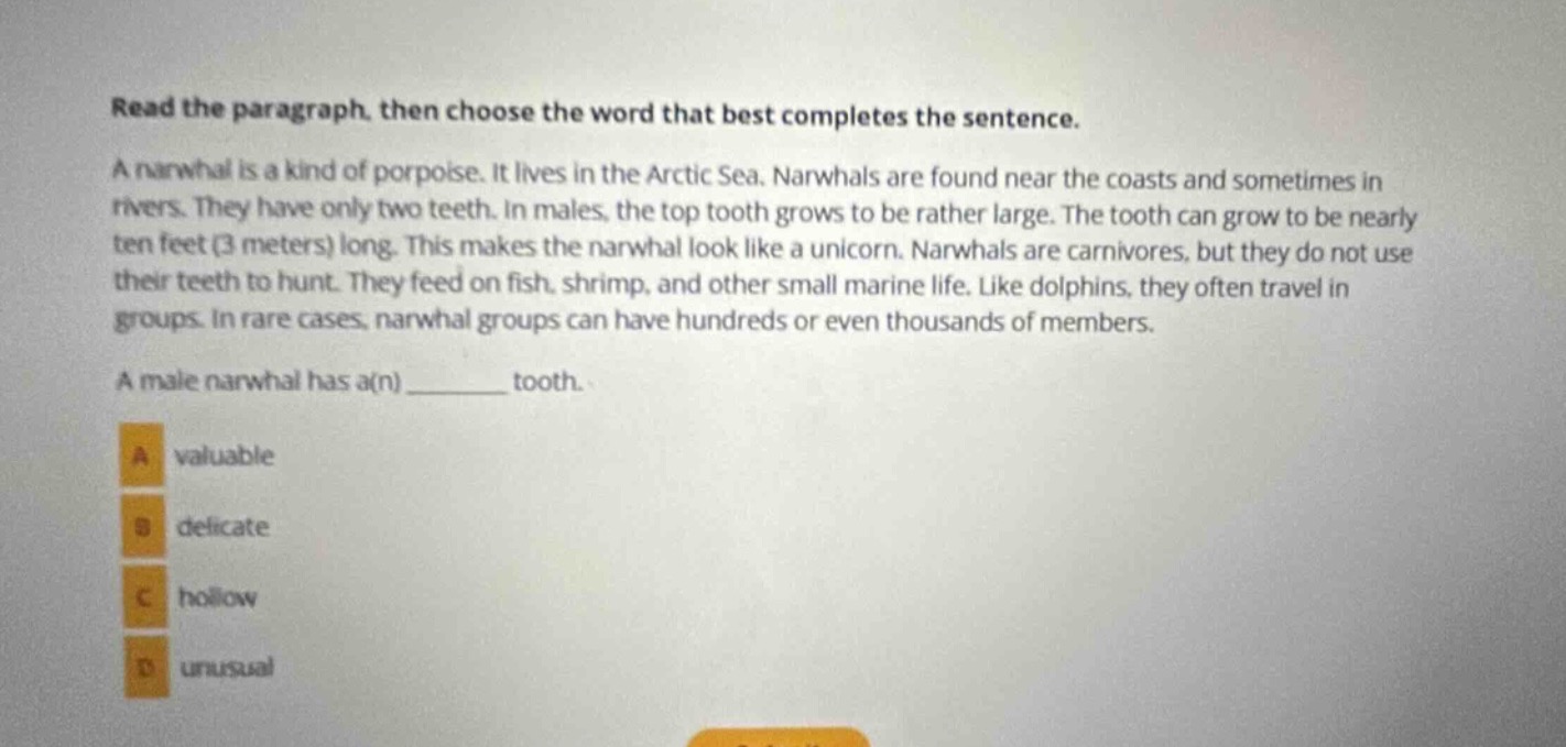 read the paragraph, then choose the word that best completes the sentence. a narwhal is a kind of porpoise. it lives in the arctic sea. narwhals are found near the coasts and sometimes in rivers. they have only two teeth. in males, the top tooth grows to be rather large. the tooth can grow to be nearly ten feet (3 meters) long. this makes the narwhal look like a unicorn. narwhals are carnivores, but they do not use their teeth to hunt. they feed on fish, shrimp, and other small marine life. like dolphins, they often travel in groups. in rare cases, narwhal groups can have hundreds or even thousands of members. a male narwhal has a(n) ______ tooth. a valuable b delicate c hollow d unusual