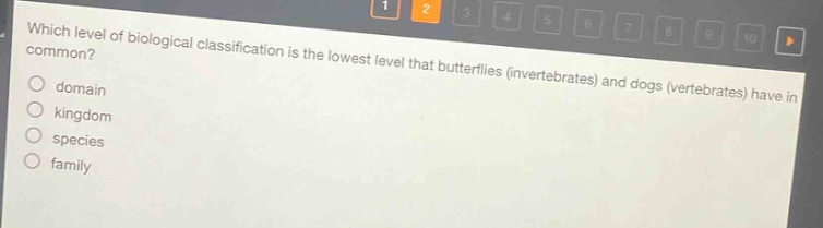which level of biological classification is the lowest level that butterflies (invertebrates) and dogs (vertebrates) have in common?\ndomain\nkingdom\nspecies\nfamily
