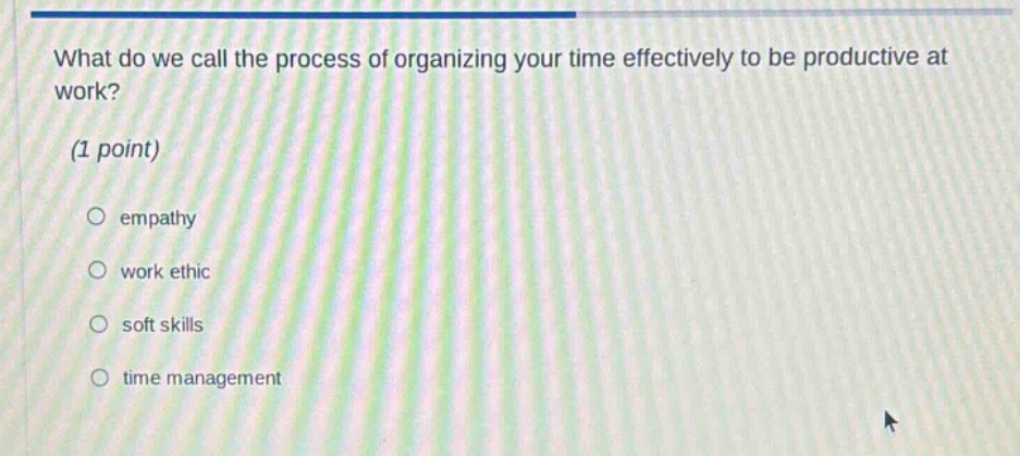 what do we call the process of organizing your time effectively to be productive at work? (1 point) empathy work ethic soft skills time management