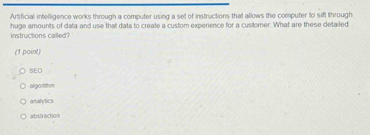 artificial intelligence works through a computer using a set of instructions that allows the computer to sift through huge amounts of data and use that data to create a custom experience for a customer. what are these detailed instructions called? (1 point) seo algorithm analytics abstraction