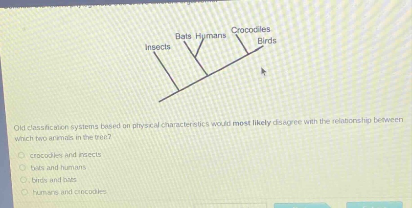 old classification systems based on physical characteristics would most likely disagree with the relationship between which two animals in the tree?\n- crocodiles and insects\n- bats and humans\n- birds and bats\n- humans and crocodiles