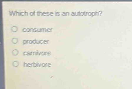 which of these is an autotroph?\no consumer\no producer\no carnivore\no herbivore