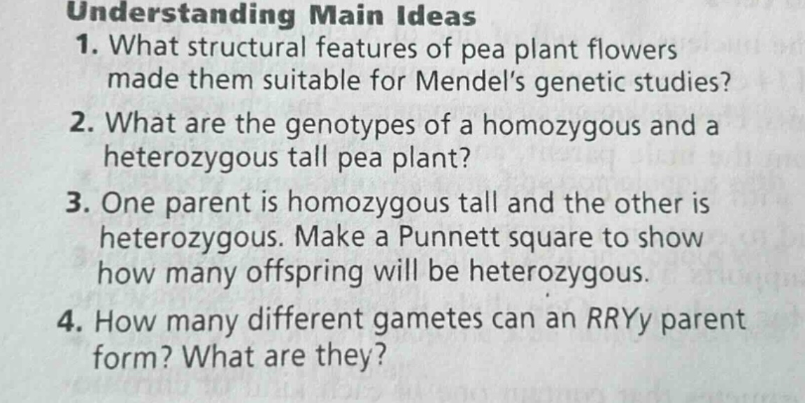understanding main ideas\n1. what structural features of pea plant flowers made them suitable for mendels genetic studies?\n2. what are the genotypes of a homozygous and a heterozygous tall pea plant?\n3. one parent is homozygous tall and the other is heterozygous. make a punnett square to show how many offspring will be heterozygous.\n4. how many different gametes can an rryy parent form? what are they?