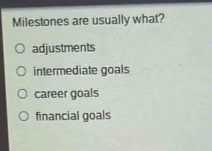 milestones are usually what?\n○ adjustments\n○ intermediate goals\n○ career goals\n○ financial goals