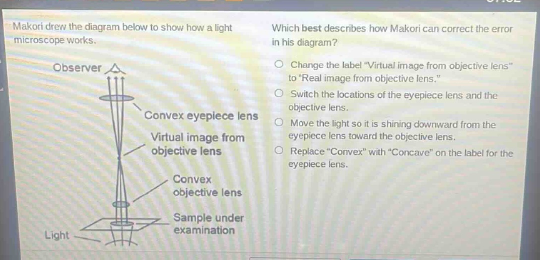 makori drew the diagram below to show how a light microscope works. which best describes how makori can correct the error in his diagram? observer convex eyepiece lens virtual image from objective lens convex objective lens sample under examination light change the label \virtual image from objective lens\ to \real image from objective lens.\ switch the locations of the eyepiece lens and the objective lens. move the light so it is shining downward from the eyepiece lens toward the objective lens. replace \convex\ with \concave\ on the label for the eyepiece lens.