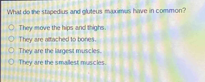 what do the stapedius and gluteus maximus have in common?\no they move the hips and thighs.\no they are attached to bones.\no they are the largest muscles.\no they are the smallest muscles.