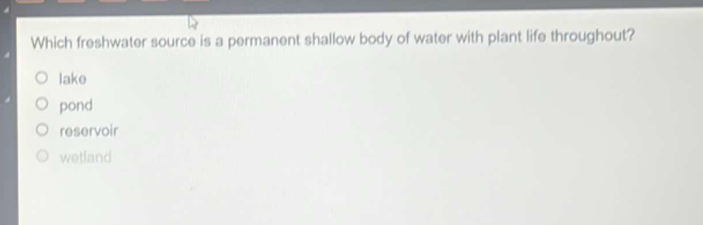 which freshwater source is a permanent shallow body of water with plant life throughout?\no lake\no pond\no reservoir\no wetland