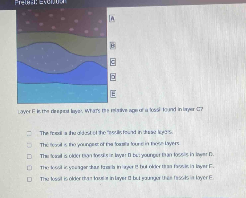 pretest: evolution\nlayer e is the deepest layer. whats the relative age of a fossil found in layer c?\nthe fossil is the oldest of the fossils found in these layers.\nthe fossil is the youngest of the fossils found in these layers.\nthe fossil is older than fossils in layer b but younger than fossils in layer d.\nthe fossil is younger than fossils in layer b but older than fossils in layer e.\nthe fossil is older than fossils in layer b but younger than fossils in layer e.