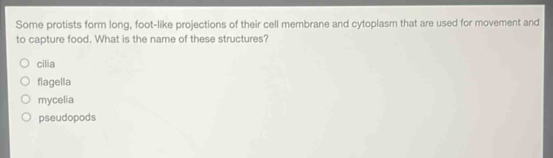some protists form long, foot - like projections of their cell membrane and cytoplasm that are used for movement and to capture food. what is the name of these structures?\no cilia\no flagella\no mycelia\no pseudopods