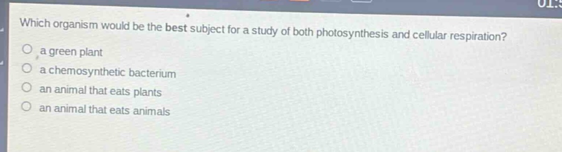 which organism would be the best subject for a study of both photosynthesis and cellular respiration?\no a green plant\no a chemosynthetic bacterium\no an animal that eats plants\no an animal that eats animals