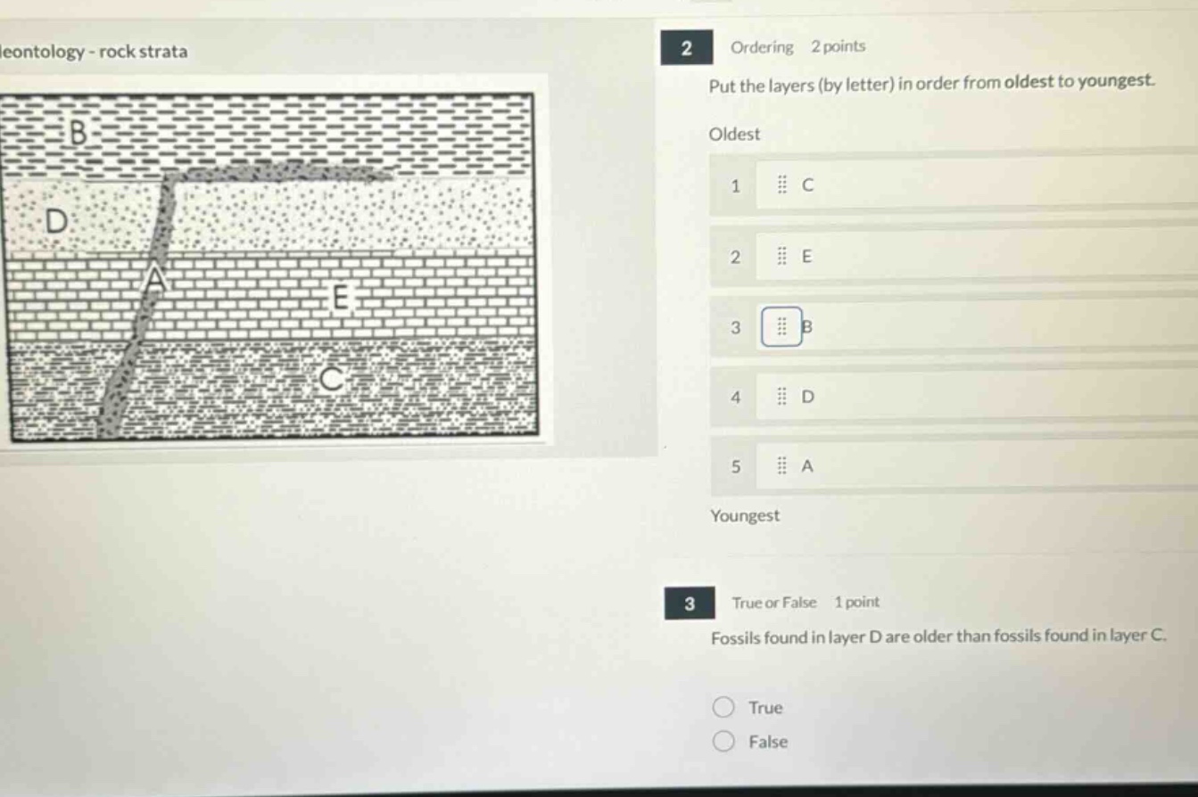 2 ordering 2 points put the layers (by letter) in order from oldest to youngest. oldest 1 c 2 e 3 b 4 d 5 a youngest 3 true or false 1 point fossils found in layer d are older than fossils found in layer c. true false