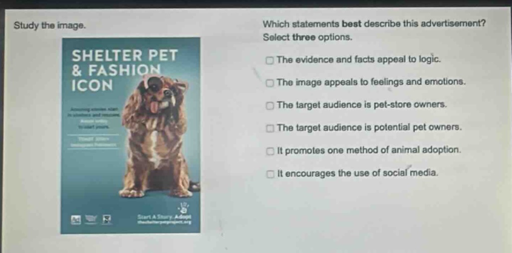 study the image. which statements best describe this advertisement? select three options. shelter pet & fashion icon the evidence and facts appeal to logic. the image appeals to feelings and emotions. the target audience is pet - store owners. the target audience is potential pet owners. it promotes one method of animal adoption. it encourages the use of social media.