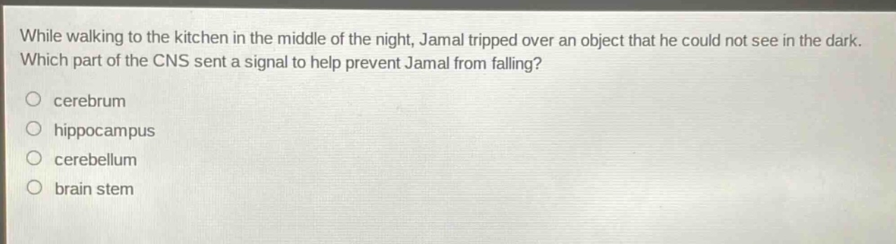 while walking to the kitchen in the middle of the night, jamal tripped over an object that he could not see in the dark. which part of the cns sent a signal to help prevent jamal from falling?\n○ cerebrum\n○ hippocampus\n○ cerebellum\n○ brain stem