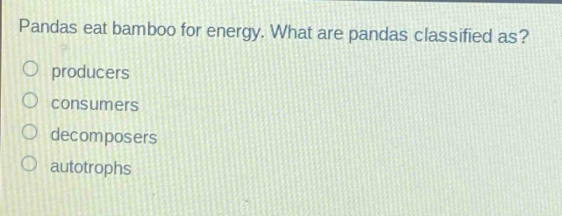 pandas eat bamboo for energy. what are pandas classified as?\no producers\no consumers\no decomposers\no autotrophs