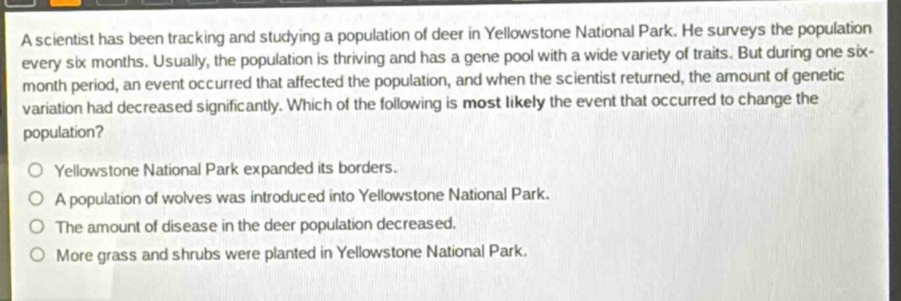 a scientist has been tracking and studying a population of deer in yellowstone national park. he surveys the population every six months. usually, the population is thriving and has a gene pool with a wide variety of traits. but during one six - month period, an event occurred that affected the population, and when the scientist returned, the amount of genetic variation had decreased significantly. which of the following is most likely the event that occurred to change the population?\n\n○ yellowstone national park expanded its borders.\n○ a population of wolves was introduced into yellowstone national park.\n○ the amount of disease in the deer population decreased.\n○ more grass and shrubs were planted in yellowstone national park.