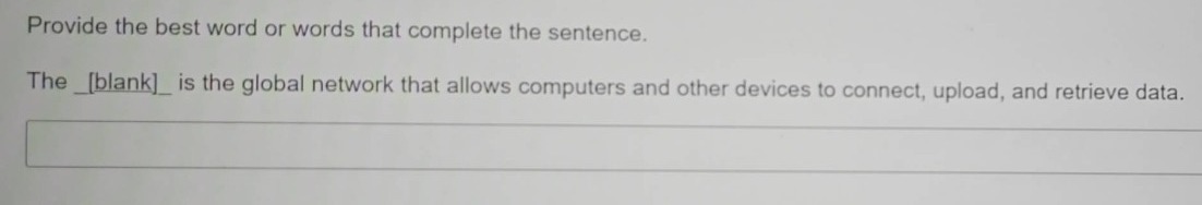 provide the best word or words that complete the sentence. the _blank_ is the global network that allows computers and other devices to connect, upload, and retrieve data.