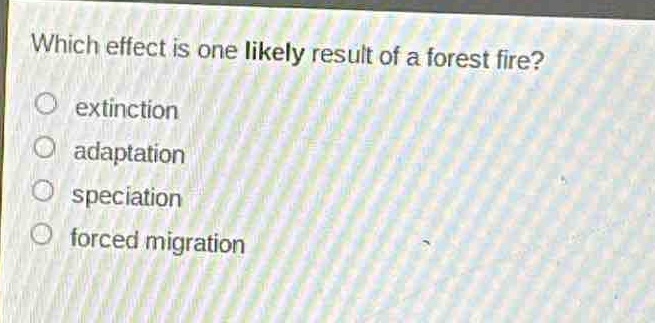 which effect is one likely result of a forest fire?\no extinction\no adaptation\no speciation\no forced migration