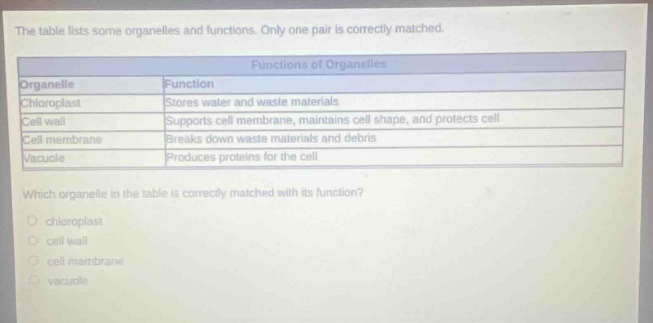 the table lists some organelles and functions. only one pair is correctly matched.\n\n| organelle | function |\n|--|--|\n| chloroplast | stores water and waste materials |\n| cell wall | supports cell membrane, maintains cell shape, and protects cell |\n| cell membrane | breaks down waste materials and debris |\n| vacuole | produces proteins for the cell |\n\nwhich organelle in the table is correctly matched with its function?\n- chloroplast\n- cell wall\n- cell membrane\n- vacuole