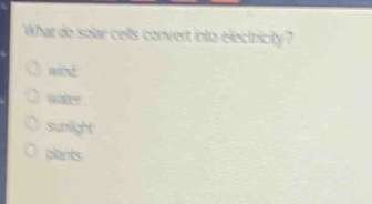 what do solar cells convert into electricity?\no wind\no water\no sunlight\no plants