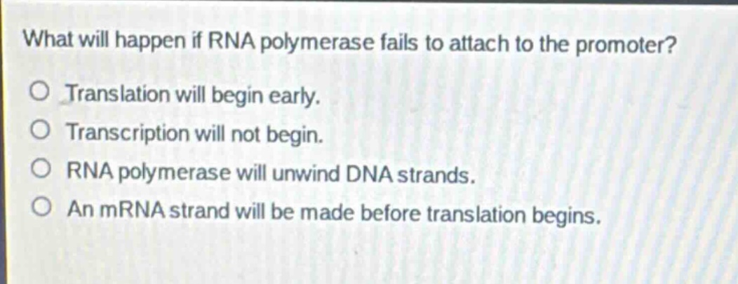 what will happen if rna polymerase fails to attach to the promoter?\no translation will begin early.\no transcription will not begin.\no rna polymerase will unwind dna strands.\no an mrna strand will be made before translation begins.