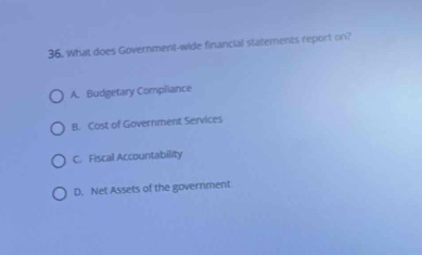 36. what does government - wide financial statements report on?\na. budgetary compliance\nb. cost of government services\nc. fiscal accountability\nd. net assets of the government