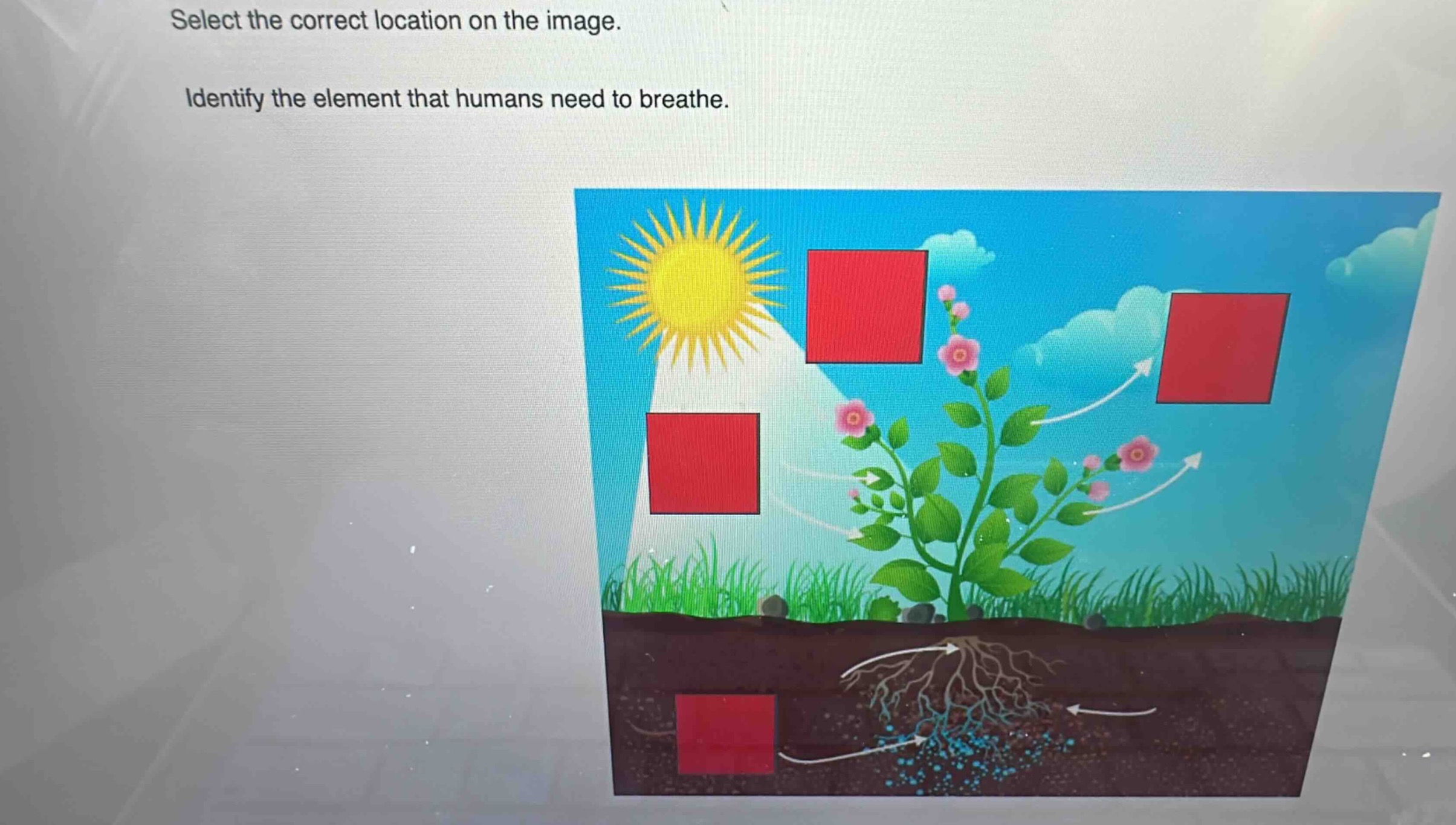 select the correct location on the image. identify the element that humans need to breathe.