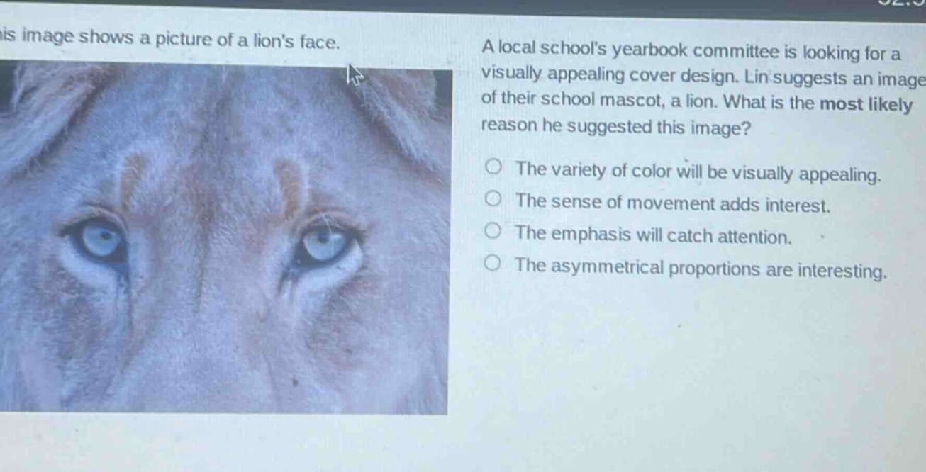 this image shows a picture of a lions face. a local schools yearbook committee is looking for a visually appealing cover design. lin suggests an image of their school mascot, a lion. what is the most likely reason he suggested this image? the variety of color will be visually appealing. the sense of movement adds interest. the emphasis will catch attention. the asymmetrical proportions are interesting.