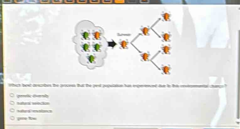 which best describes the process that the pest population has experienced due to this environmental change?\n- genetic diversity\n- natural selection\n- natural resistance\n- gene flow