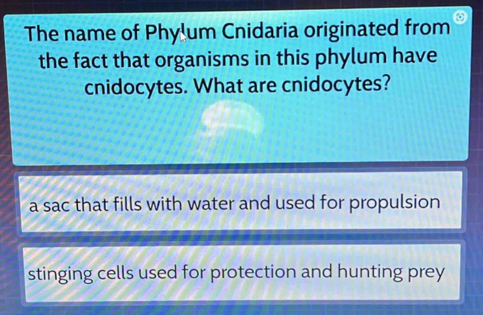 the name of phylum cnidaria originated from the fact that organisms in this phylum have cnidocytes. what are cnidocytes?\na sac that fills with water and used for propulsion\nstinging cells used for protection and hunting prey